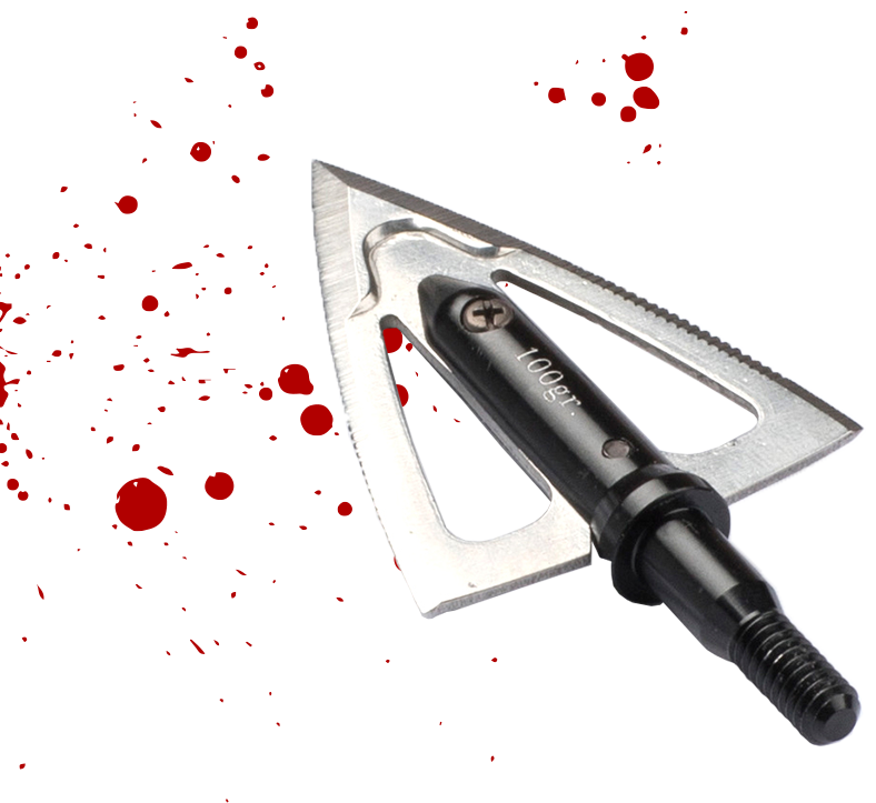 Stainless steel broadheads for turkey hunting REXPID